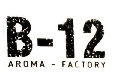 صورة للشركة المصنعة: B12
