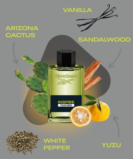 صورة ريبوك انسبريت يور مايند طقم رجالي