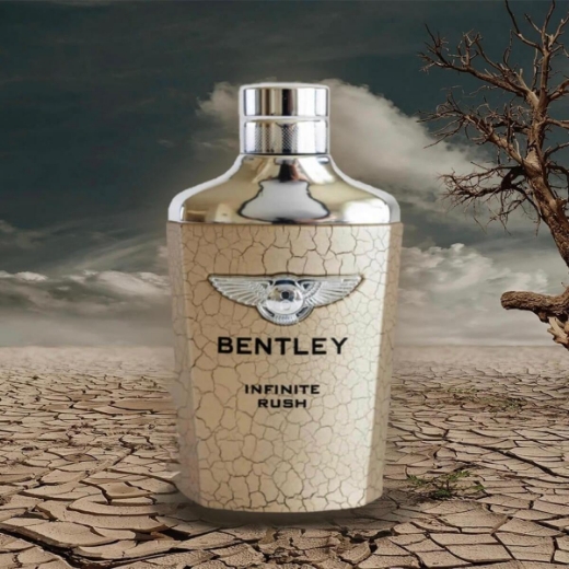 صورة بنتلي انفنتي رش عطر 100مل رجالي