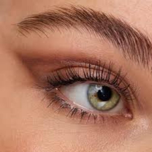 صورة كاتريس كول كاجال ليفينج إن براونتاون مانهاتن 230 