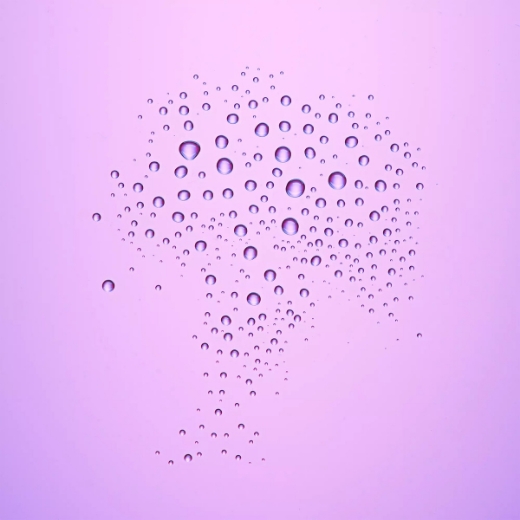 صورة كاتريس سبراي تثبيت ألترا لاست 2 