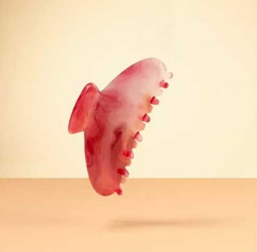 صورة كاتريس مشبك شعر C01