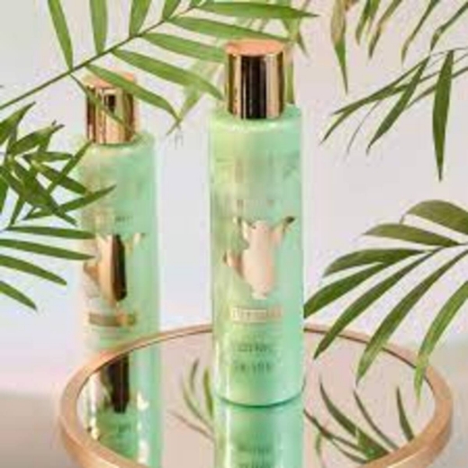 صورة كاتريس مجموعة أدوات وحقيبة ديزني ذا جانجل بوك