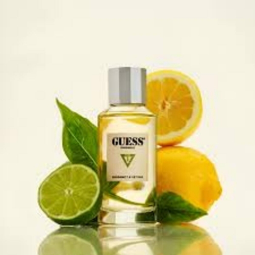 صورة جيس برجومت اند فيتافير  بارفيوم 100مل