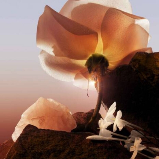 صورة لانكوم ايدل بارفيوم 75مل نسائي