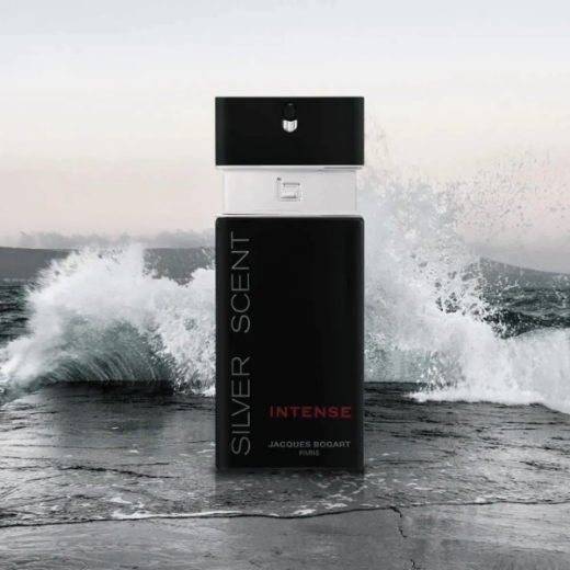 صورة جاكوس بوجارت سلفر سنت عطر 100مل رجالي