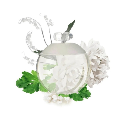 صورة كاشريل نوا بارفيوم 50مل نسائي