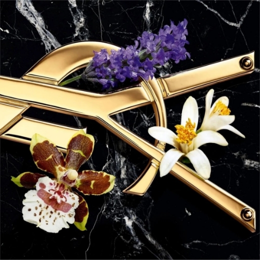 صورة ايف سان لوران ليبر انتنس بارفيوم 90مل نسائي