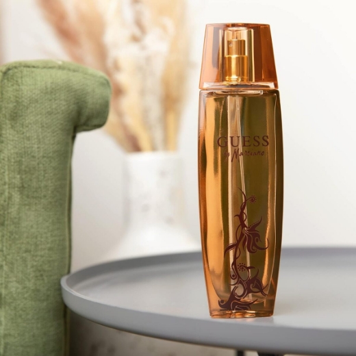 صورة جيس مارسيانو طقم نسائي