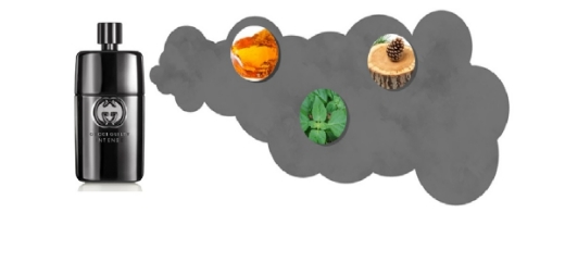 صورة جوتشي جلتي انتنس عطر 50مل رجالي