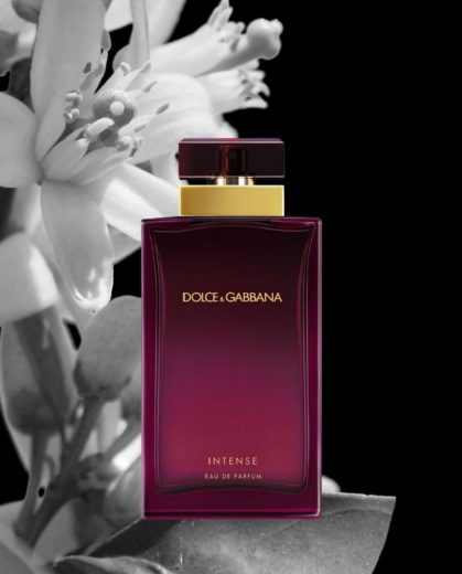 صورة دي اند جي انتس بارفيوم 100مل سائي