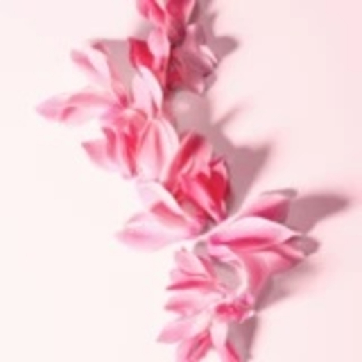 صورة دي اند جي نمبر 3 بارفيوم 100مل نسائي