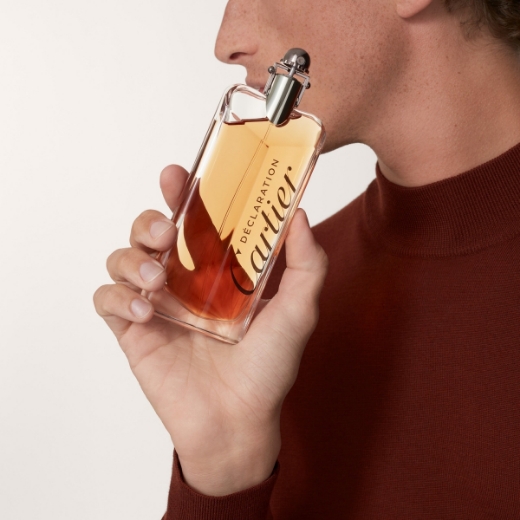 صورة كارتير ديكلاريشن بارفيوم 100مل رجالي