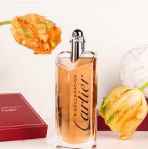 صورة كارتير ديكلاريشن بارفيوم 100مل رجالي