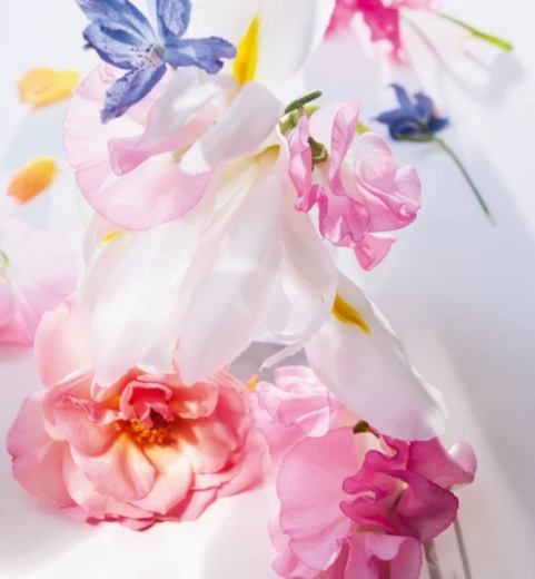 صورة ديور مس ديور بارفيوم 100مل نسائي