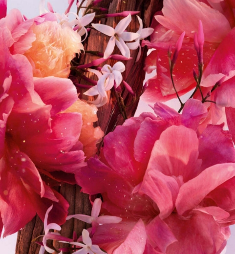 صورة ديور مس ديور بارفيوم 100مل نسائي