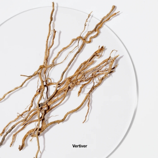 صورة كلينكي رماتيكس اليكسر بارفيوم 100مل نسائي