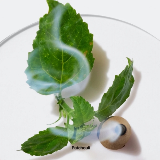 صورة كلينكي رماتيكس اليكسر بارفيوم 100مل نسائي