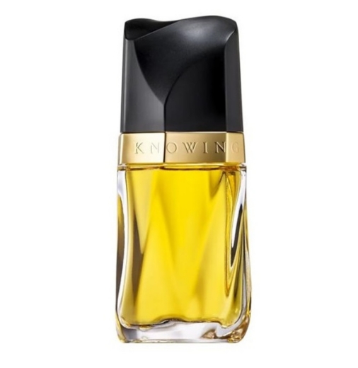 صورة اس تي لاودر نوينج بارفيوم 75مل نسائي