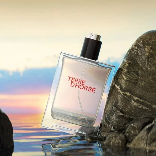 صورة هيرمس تيري دي هيرمس عطر 100مل رجالي