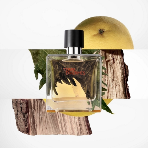 صورة هيرمس تيري دي هيرمس عطر 100مل رجالي