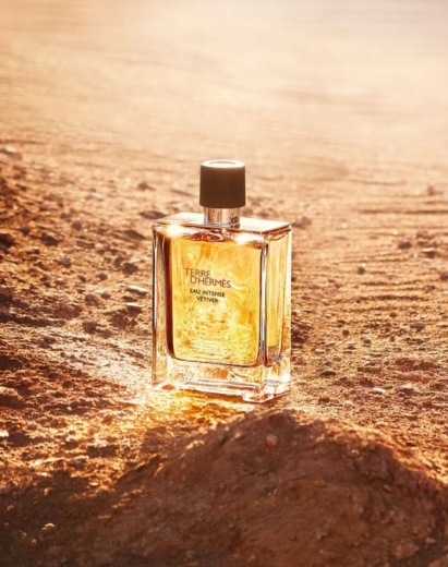 صورة هيرمس تيري دي هيرمس عطر 100مل رجالي