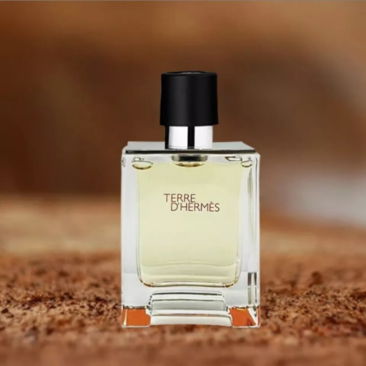 صورة هيرمس تيري دي هيرمس عطر 100مل رجالي