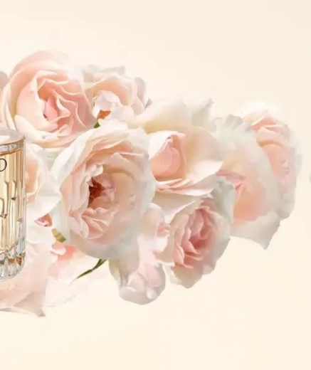 صورة جيمي شو الـ الـ كيت بارفيوم 100مل نسائي