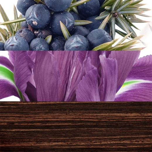 صورة دافيدوف ذا جيم عطر 100مل رجالي