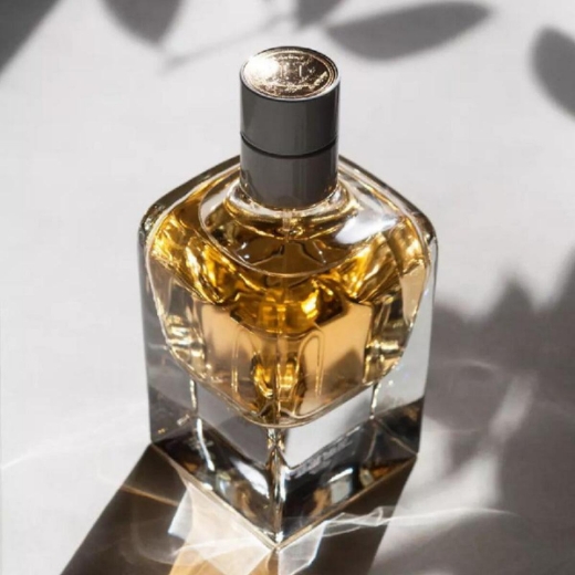 صورة هيرمز جور دهيرميس بارفيوم 85مل نسائي