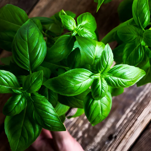 صورة جيفنشي ايدموزيل عطر 50مل نسائي