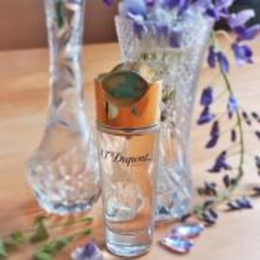 صورة اس تي ديبونت بيور فيم  بارفيوم 100مل نسائي