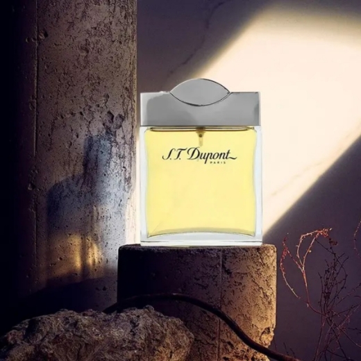 صورة اس تي ديبونت بيور هوم عطر 100مل رجالي