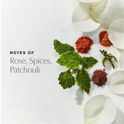 صورة اس تي لاودر يوث ديو بودي باودر 100ج نسائي