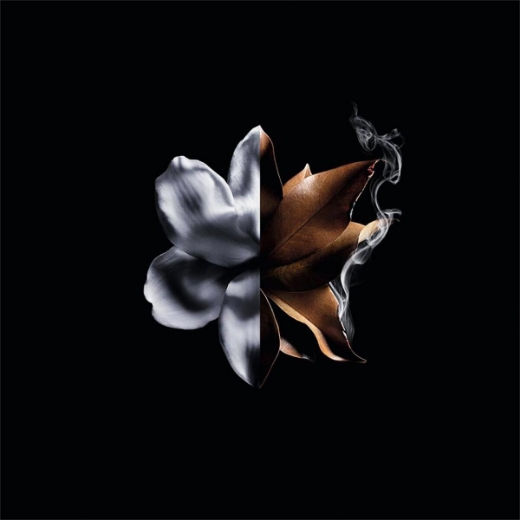 صورة جيفنشي لنترتيد انتنس بارفيوم 80مل نسائي