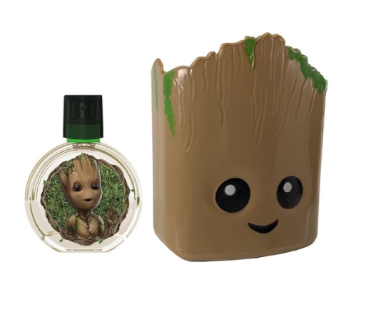 صورة دزني جروت طقم ولادي