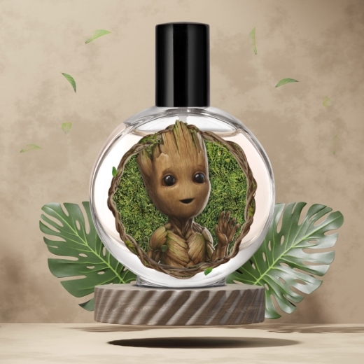 صورة دزني جروت طقم ولادي