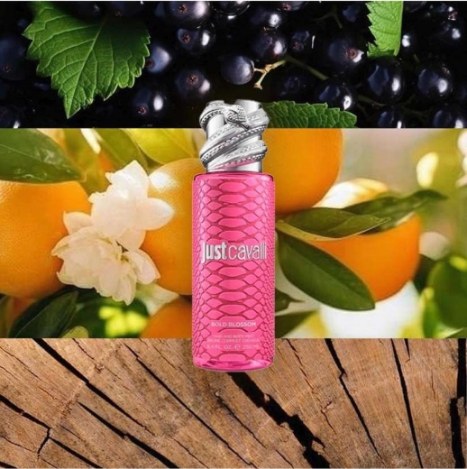 صورة روبيرتو كفالي جست كفالي بولد بلوزووم هير سبريه & بدي سبريه 250مل