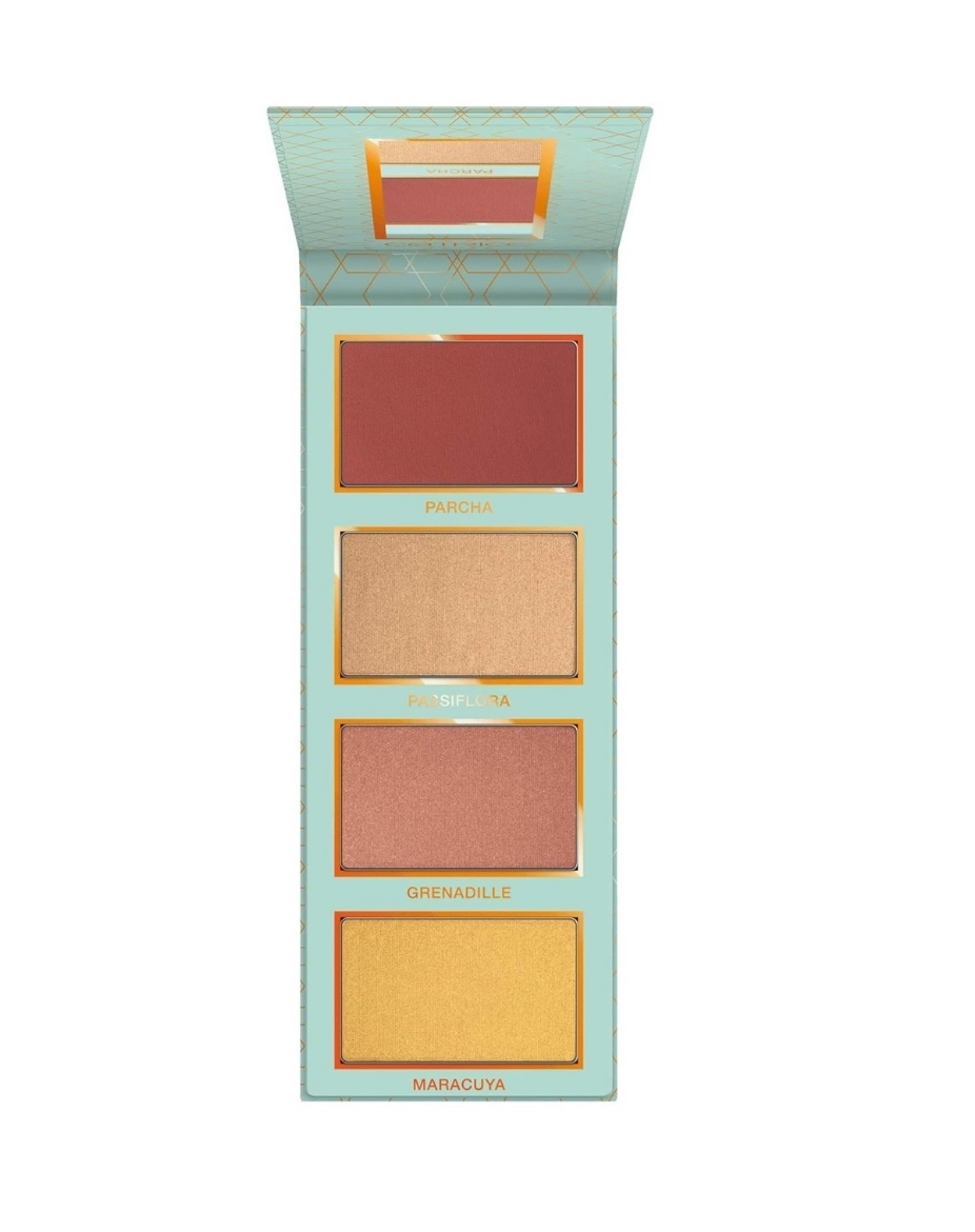 صورة كاتريس اديكتيد تو فيس باليت 9.3جرام