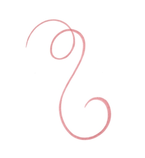 صورة ايسنس قلم تحديد الشفاه لاين ان ستين تاتو 02