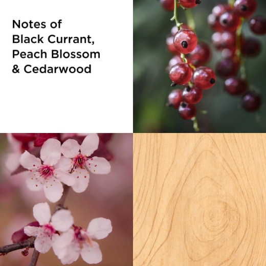 صورة اليزبث اردن ألويز ريد 100 مل للنساء