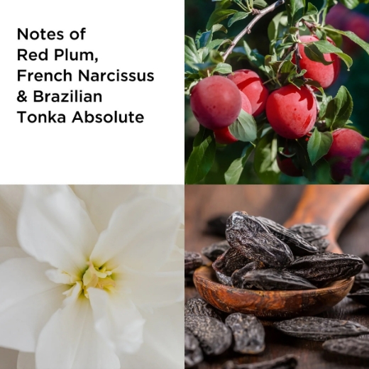 صورة اليزبث اردن لا توصف أبسولو 100 مل