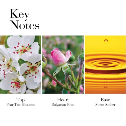 صورة اليزبث اردن شاي أبيض برائحة الورد البري 100 مل