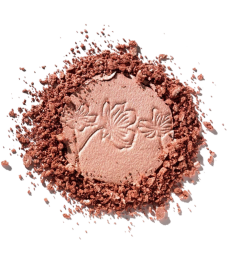 صورة كاتريس هايلايتر مور ذان جلو 040