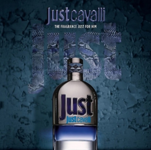 صورة روبرتو كافالي أو دو برفيوم 90 مل رجالي