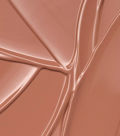 صورة كاتريس أحمر شفاه إندل مطفي سائل 010