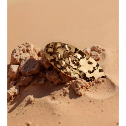 صورة كاتريس مشبك شعر ديزرت ديون C01