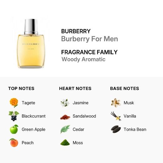 صورة بربري مان عطر 100مل رجالي