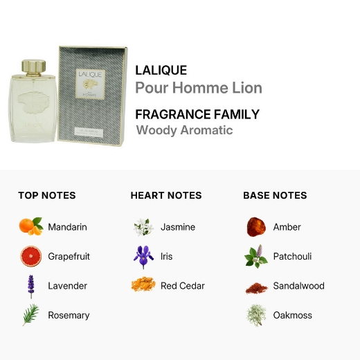 صورة لاليك بيور هوم بارفيوم 100مل رجالي