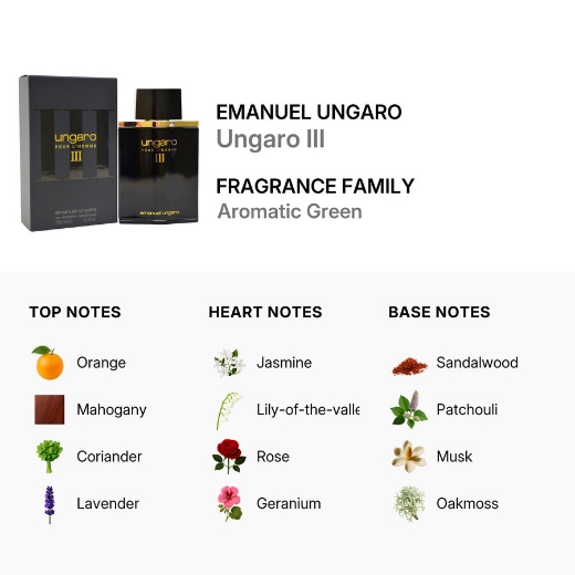 صورة انجارو بيور هوم اي اي اي بارفيوم 100مل رجالي